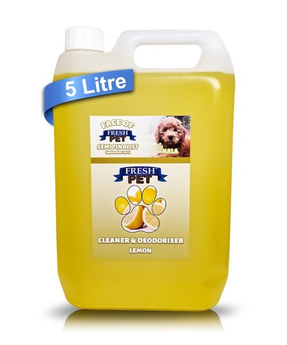 Kennel cattery cleaner - cattery, and