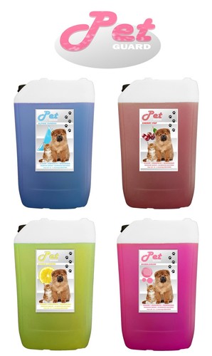 Kennel dog pet - dog,