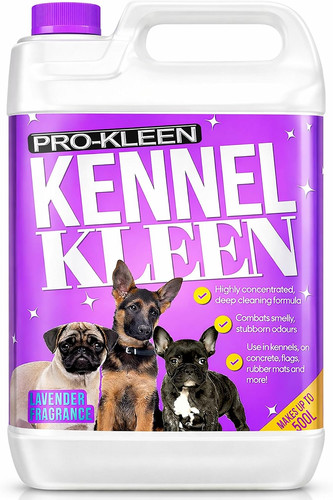 Kennel disinfectant cleaner - disinfectant,, &