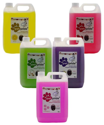 Kennel cattery cleaner - cattery,